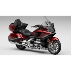 Gold Wing